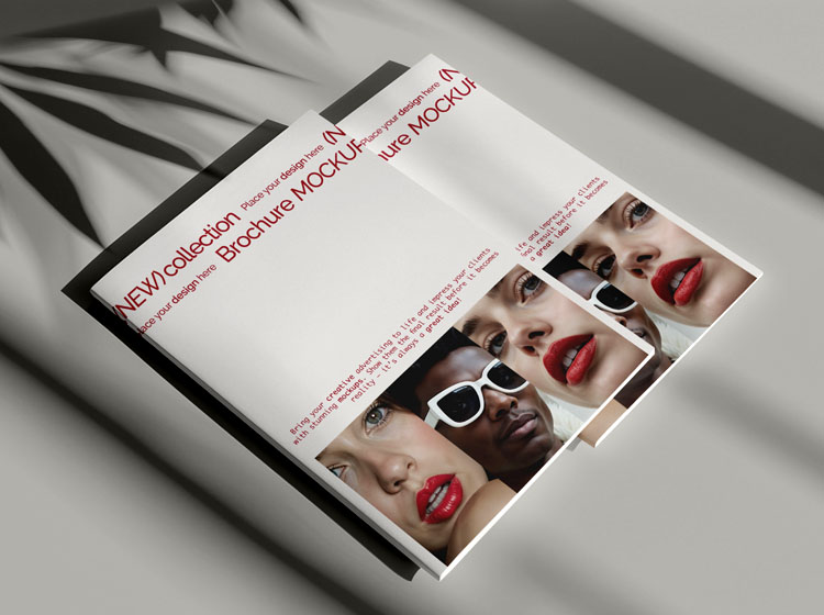 book catelogue brochure
